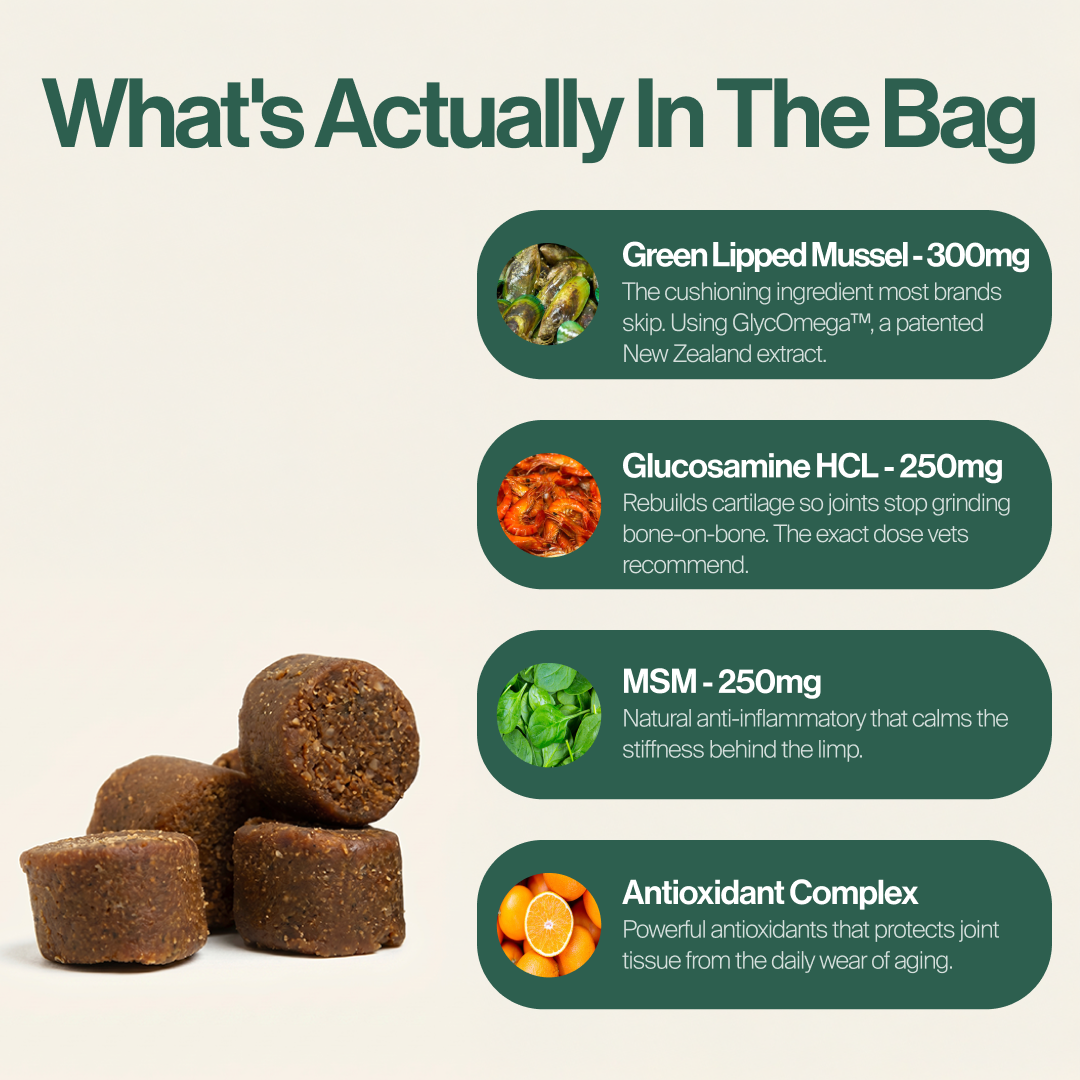 Hip & Joint Chews