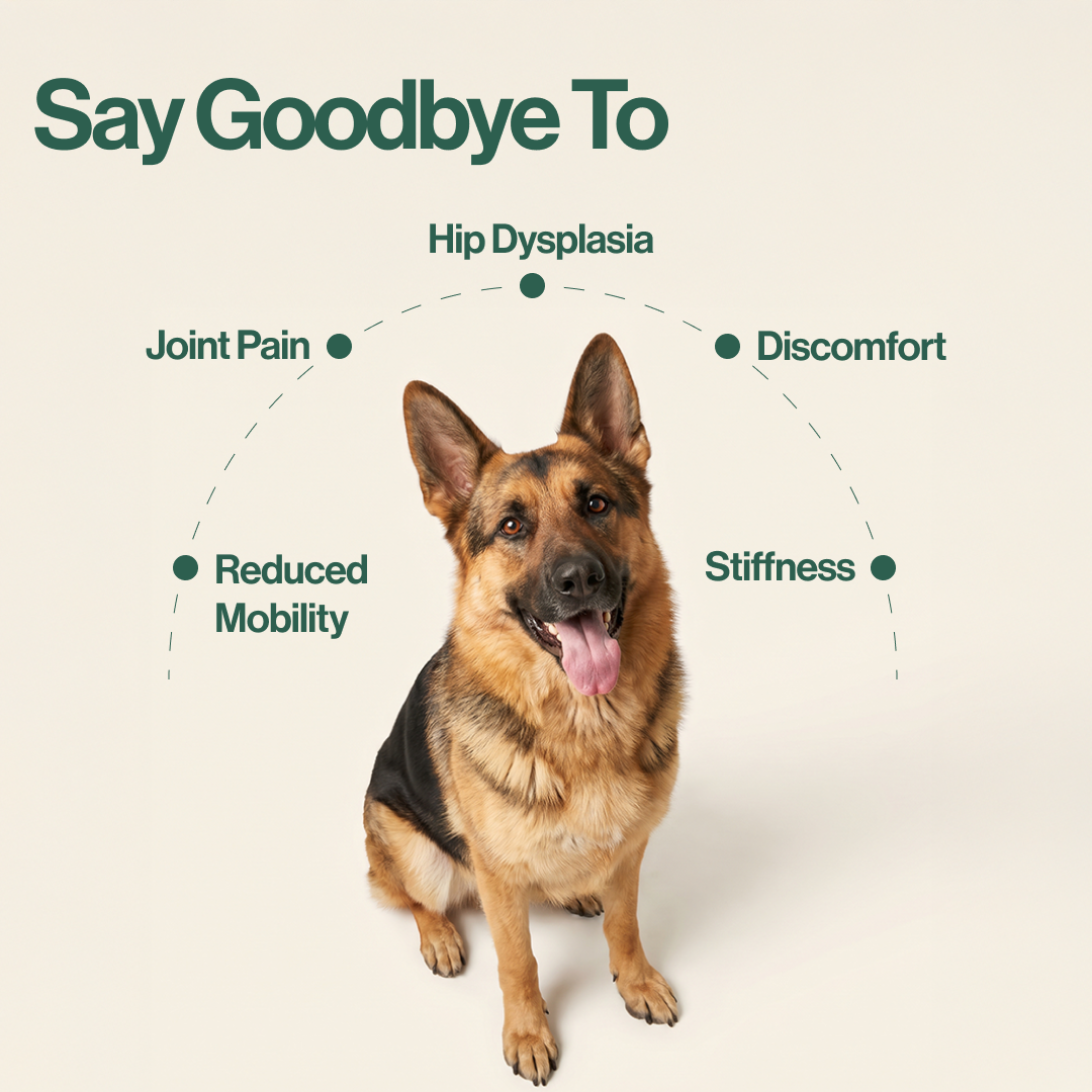 Hip & Joint Chews